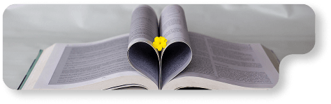 Ebook Writing